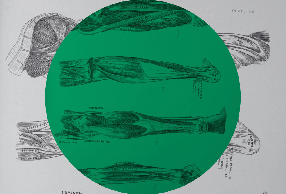 Muscle Span: The Longevity Metric You’ve Never Heard Of | Dr. Matt Jordan | TCE Ep1