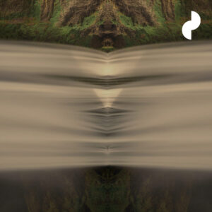 Professional Athlete Off-Season Program: Deep Diagnostics