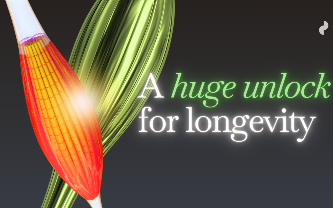 Musclespan: The Longevity Metric You’ve Never Heard Of | Dr. Matt Jordan | TCE Ep1